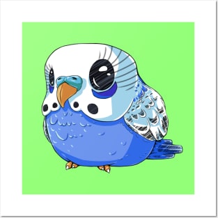 Blue Budgie Posters and Art